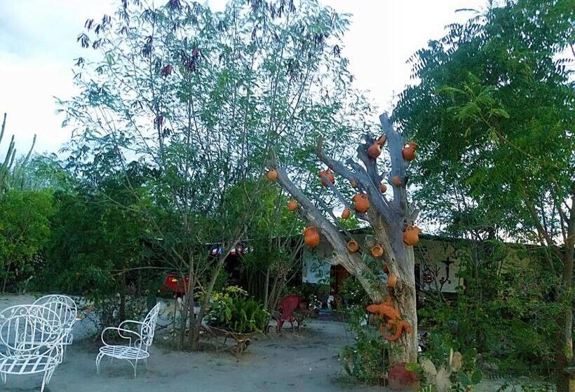 هتل Alojamiento Casa De Campo Los Cactus