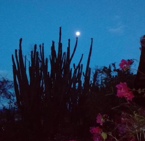 هتل Alojamiento Casa De Campo Los Cactus