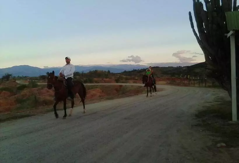 ホテル Alojamiento Casa De Campo Los Cactus