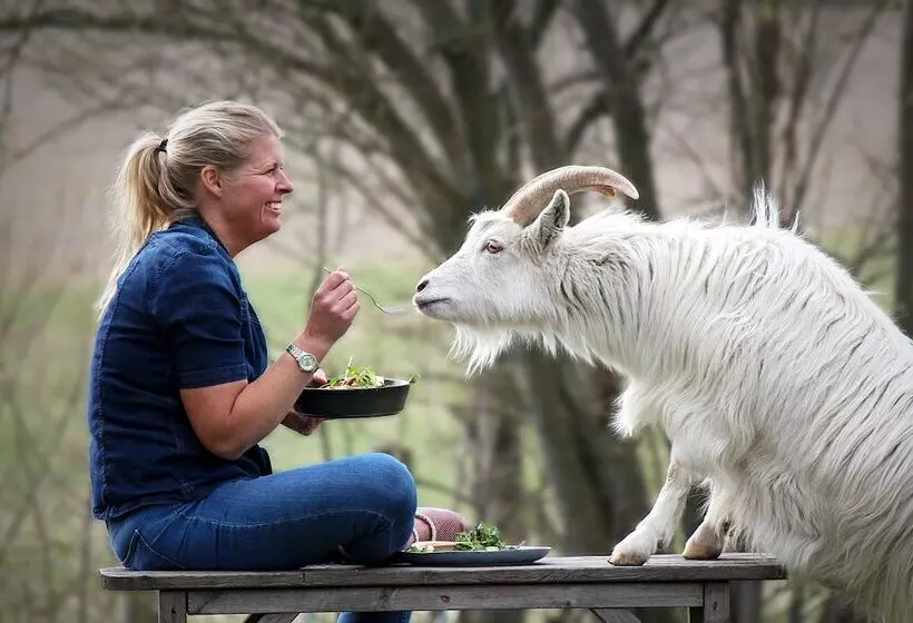 Hotelli Toric Farmlodge