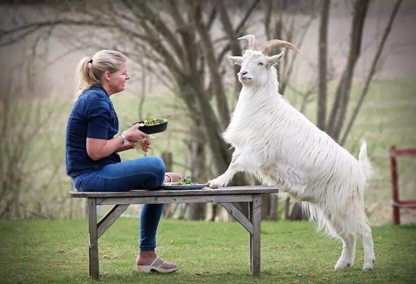 Hotelli Toric Farmlodge