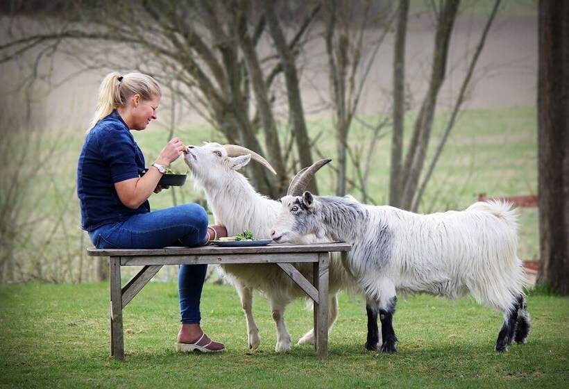 בית מלון כפרי Toric Farmlodge