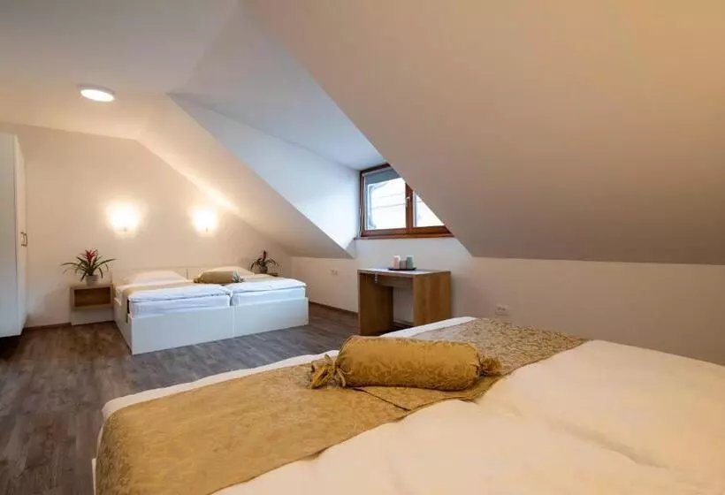 پانسیون Guesthouse Stari Mayr