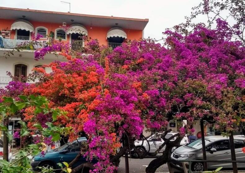 ペンション Villa Franco