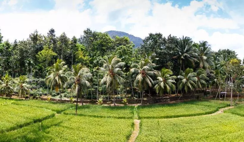 Hotelli Gurubeula Leisure As You Wish