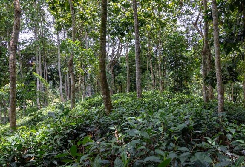 ホテル Gurubeula Leisure As You Wish