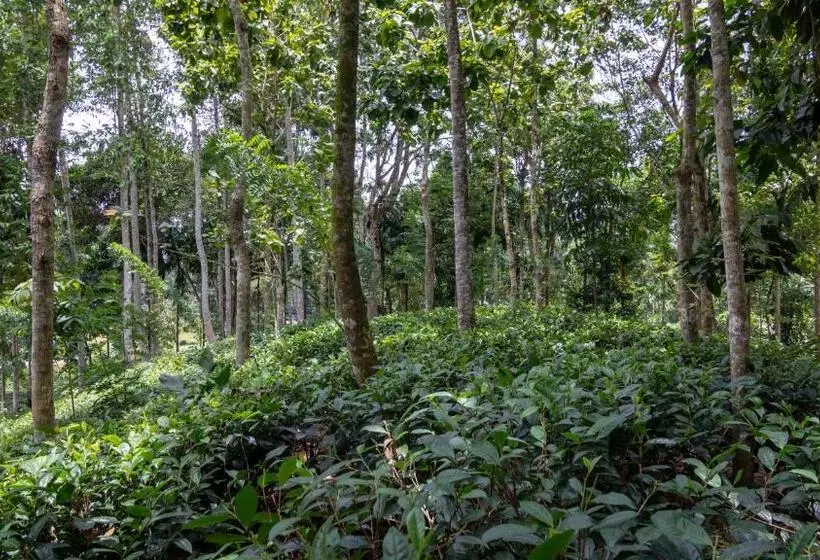 Hotelli Gurubeula Leisure As You Wish