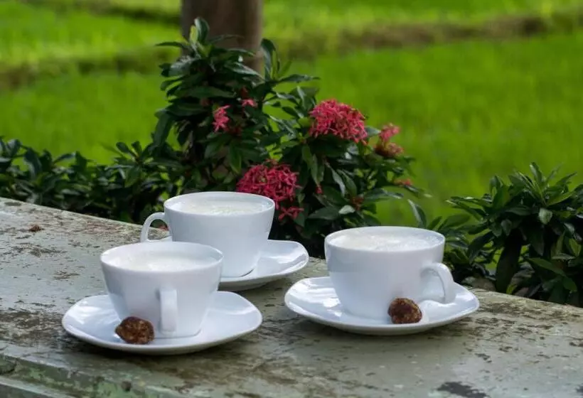 Hotelli Gurubeula Leisure As You Wish