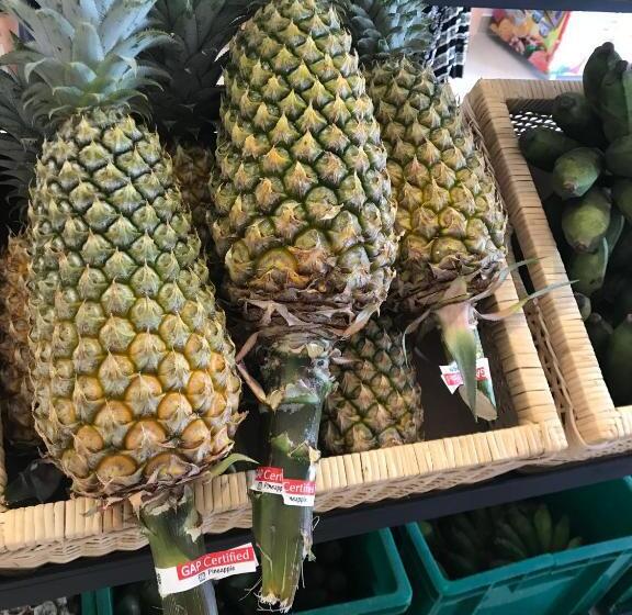 ホテル Gurubeula Leisure As You Wish