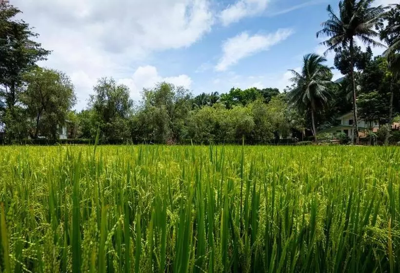 Hotelli Gurubeula Leisure As You Wish