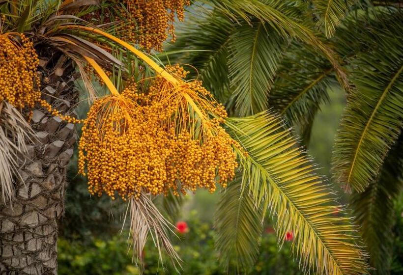 호텔 Safragell Ibiza Suites & Spa