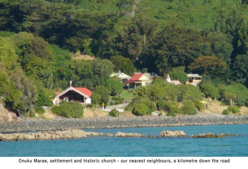 بنسيون Akaroa Coastal Studio