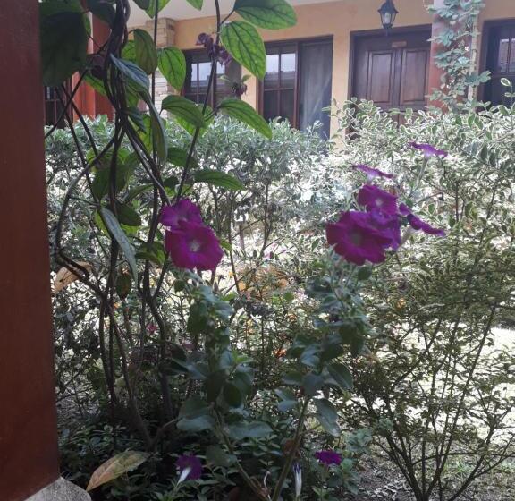 هتل Posada Gema De Copan