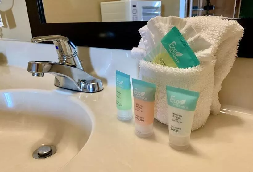 モーテル Riverchase Lodge