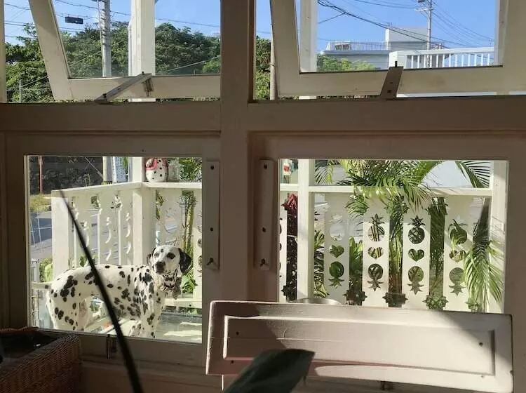 ペンション Guest House One One One