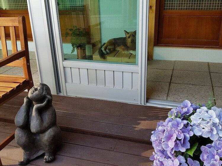 Cămin Dal Garam Guesthouse 외국인 전용