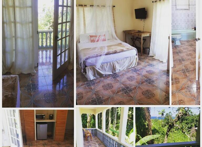 هاستل Viva Violas