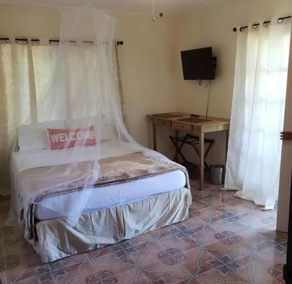 هاستل Viva Violas