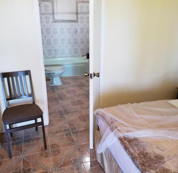 هاستل Viva Violas