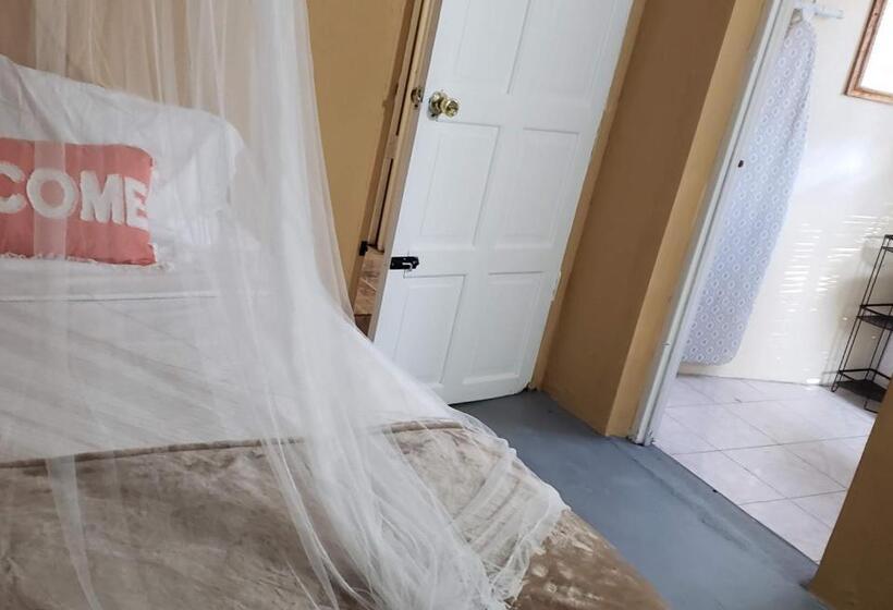 هاستل Viva Violas