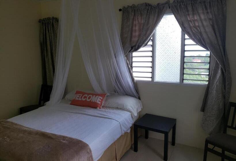 هاستل Viva Violas