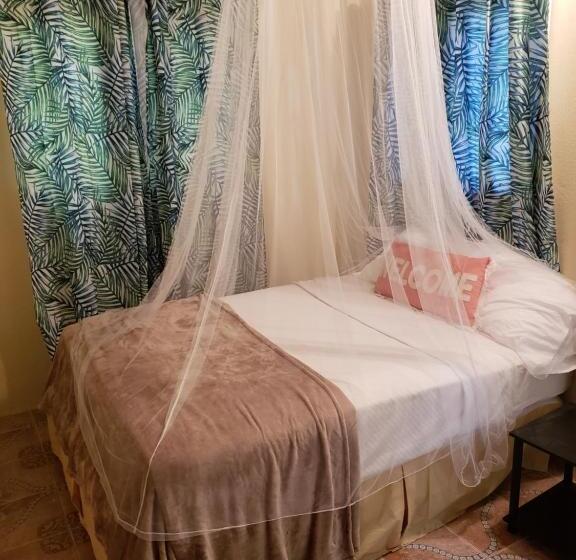 هاستل Viva Violas