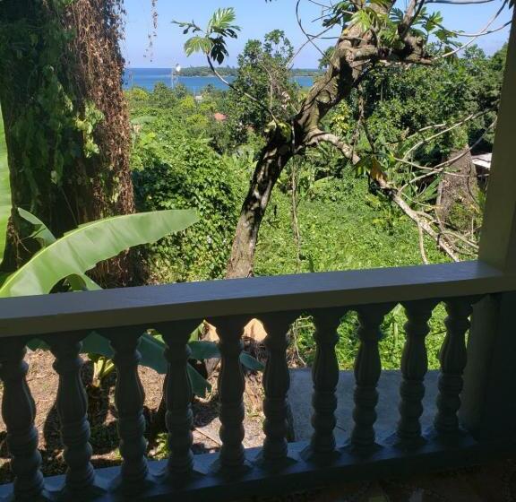 هاستل Viva Violas