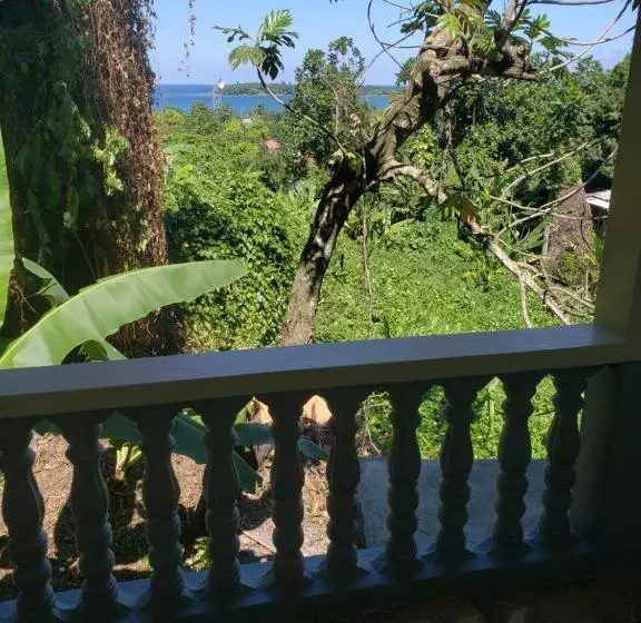 هاستل Viva Violas