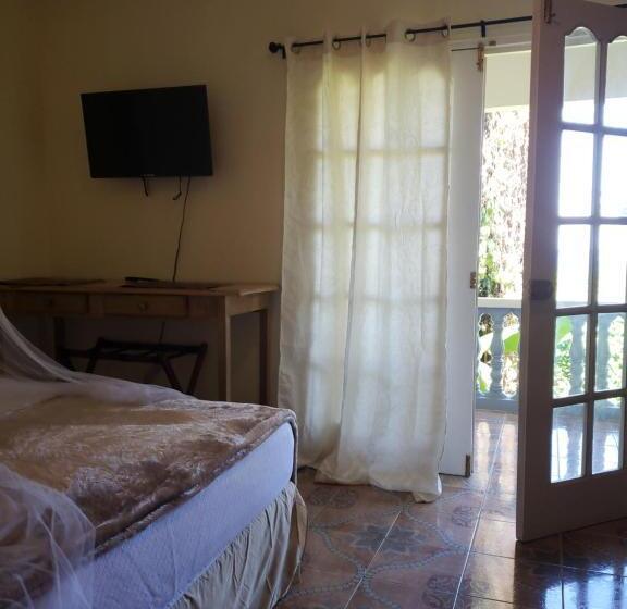 هاستل Viva Violas