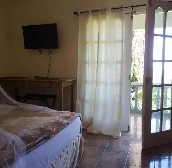 هاستل Viva Violas