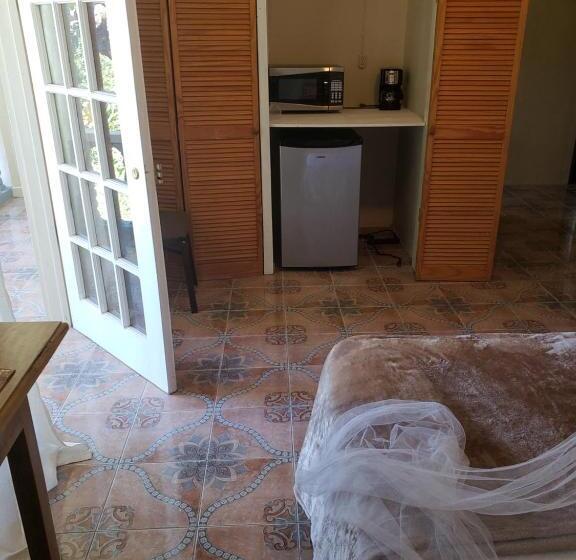 هاستل Viva Violas