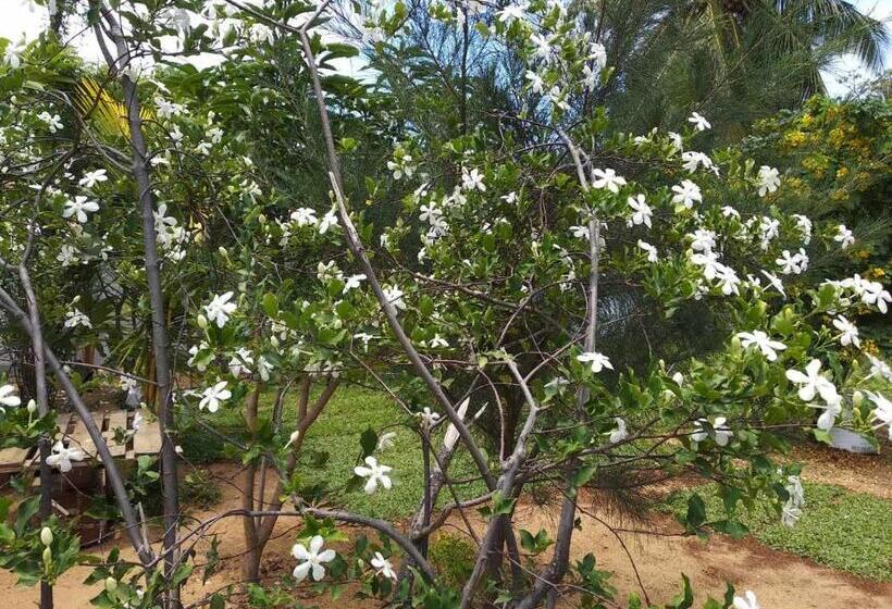 Bed and Breakfast Ocean Gate Negombo