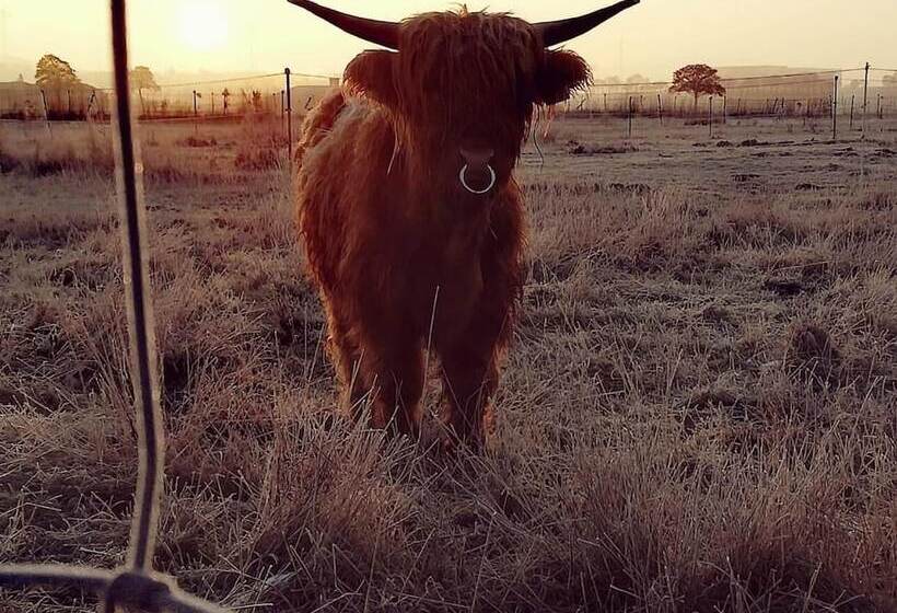 בית מלון כפרי Rappenhof