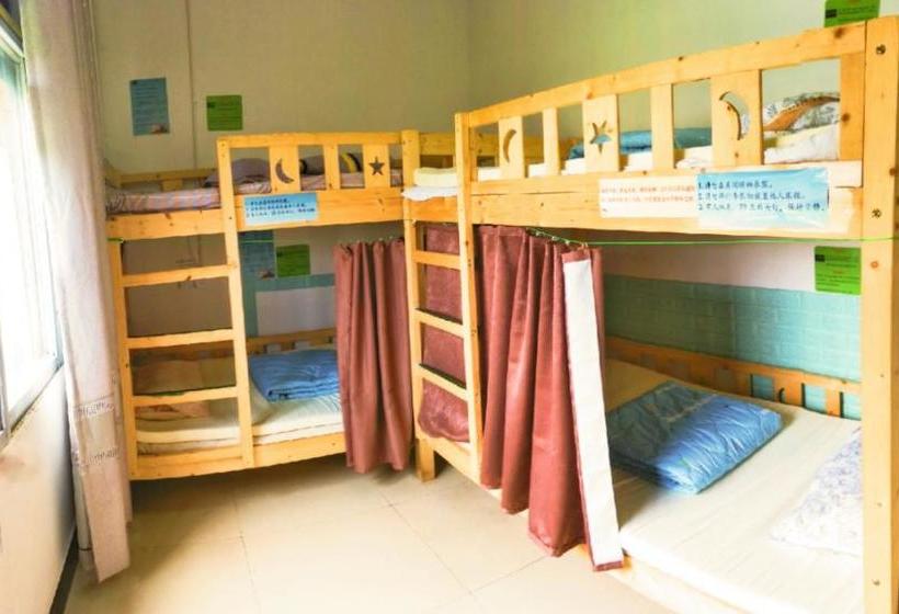 Avatar International Youth Hostel