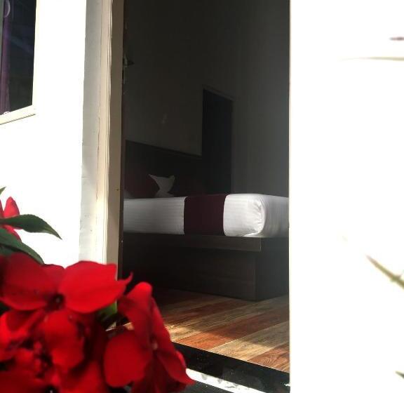 ベッドアンドブレックファースト Landy Queen