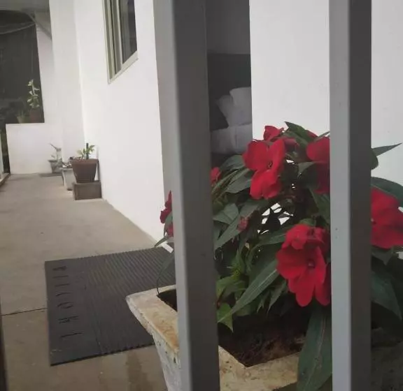 ベッドアンドブレックファースト Landy Queen