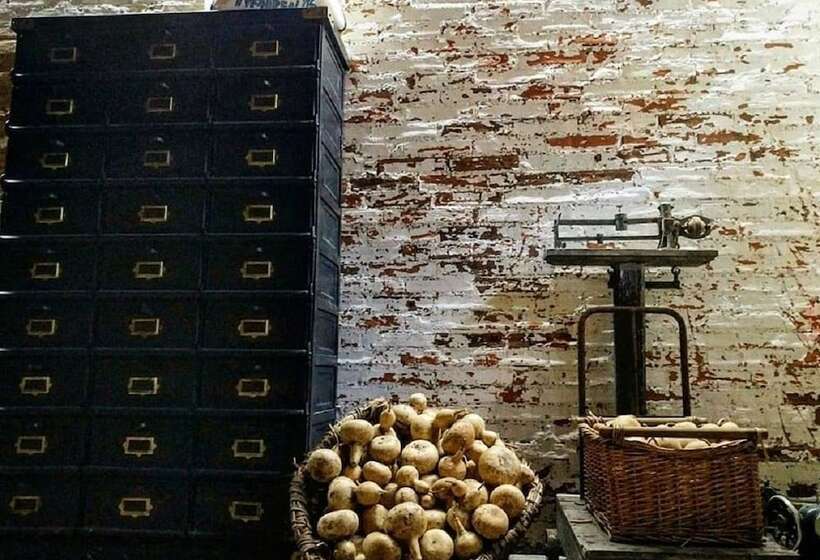 Casa De Los Hidalgos   Hostel