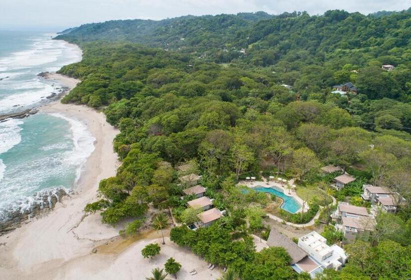 酒店 Nantipa   A Tico Beach Experience