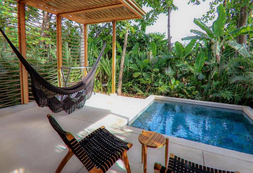 酒店 Nantipa   A Tico Beach Experience