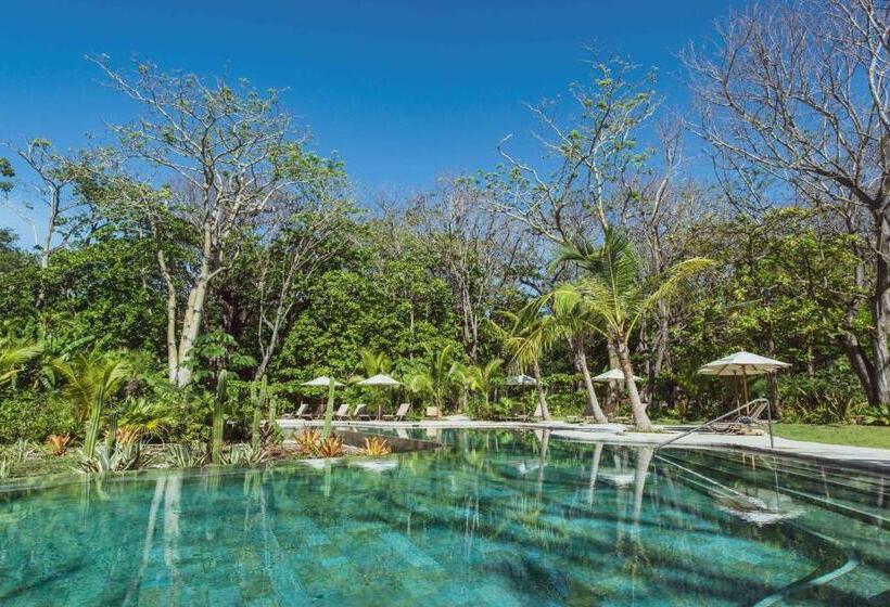 酒店 Nantipa   A Tico Beach Experience