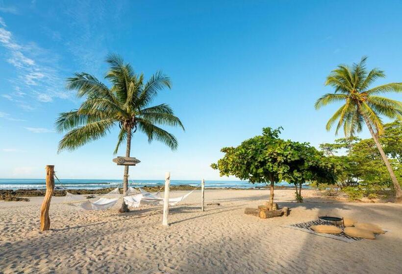 酒店 Nantipa   A Tico Beach Experience