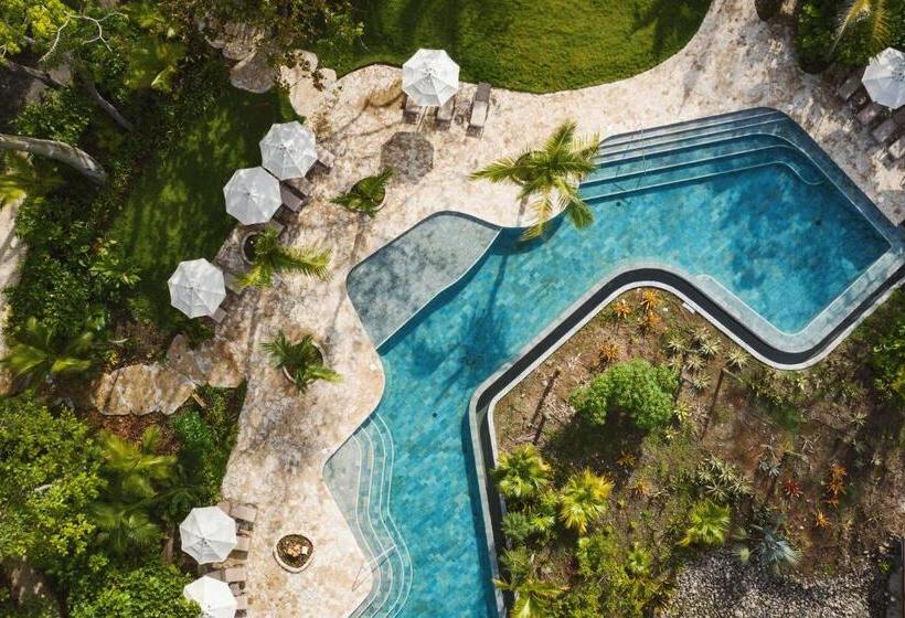 酒店 Nantipa   A Tico Beach Experience