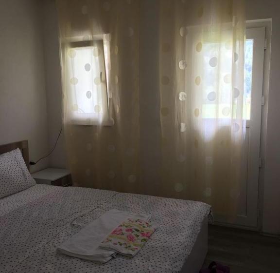 펜션 Guesthouse Skender Selimaj