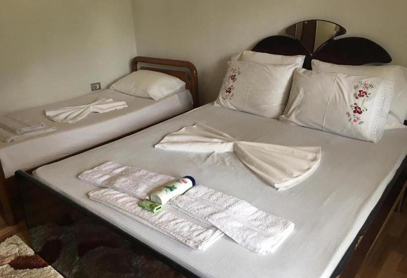 펜션 Guesthouse Skender Selimaj