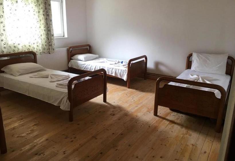 펜션 Guesthouse Skender Selimaj