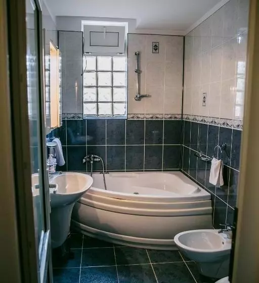 Pensiunea Vila Europa