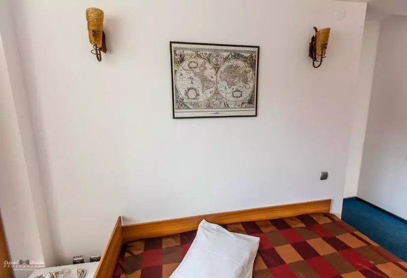 Pensiunea Vila Europa