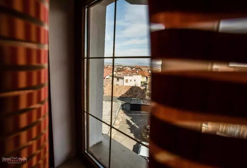 Pensiunea Vila Europa