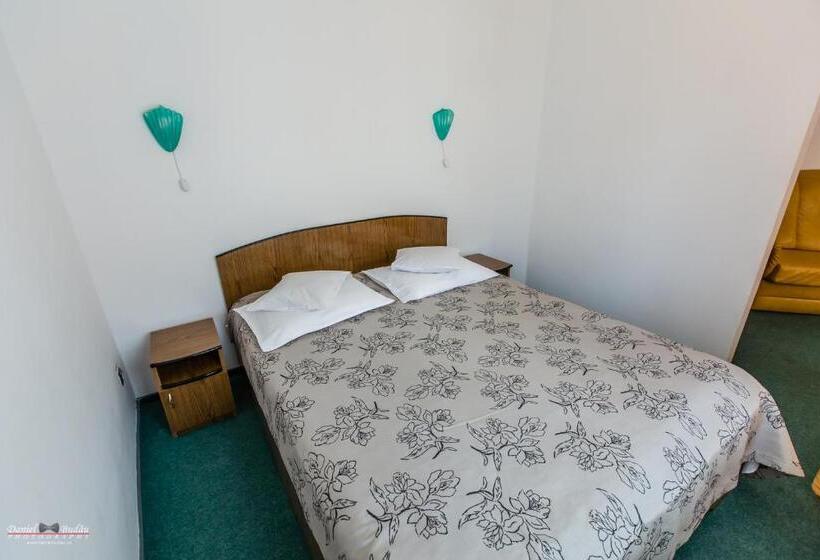 Pensiunea Vila Europa