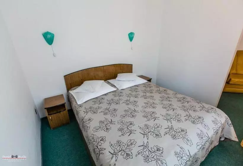 Pensiunea Vila Europa